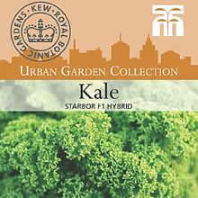 Kew Urban Starbor F1 Hybrid Kale Seeds