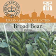 Kew Urban Statissa Broad Bean Vegetable Seeds