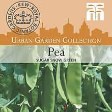 Kew Urban Sugar Snow Green Mangetout Pea Vegetable Seeds