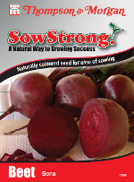 Sow Strong Bona Globe Beetroot Seeds