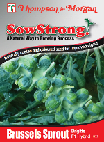 Sow Strong Brigitte F1 Hybrid Brussels Sprout Seeds