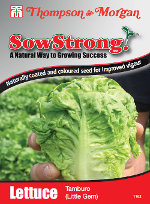 Sow Strong Tamburo Lettuce Seeds