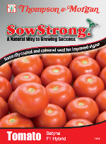Sow Strong Satyna F1 Hybrid Tomato Seeds