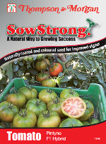 Sow Strong Pintyno F1 Hybrid Tomato Seeds