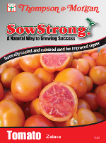 Sow Strong Zlatava Tomato Seeds