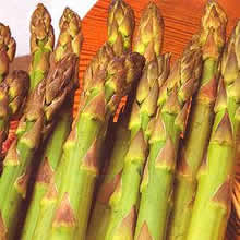 Asparagus Seeds