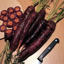 Carrot Seeds