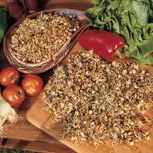 Salad Sprouts Mixed Sprouting Seeds by Thompson and Morgan