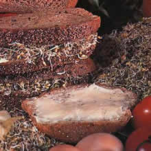 Sandwich Mix Sprouting Seeds by Thompson and Morgan