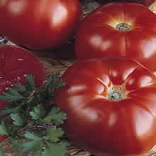 Thompson and Morgan Super Marmande Tomato Seeds