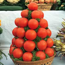 Thompson and Morgan Alicante Tomato Seeds