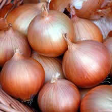 Thompson and Morgan Onion : Hi Keeper F1 Hybrid Seeds