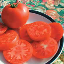 Thompson and Morgan Legend Tomato Seeds