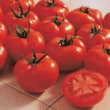 Thompson and Morgan Ferline F1 Hybrid Tomato Seeds