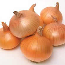 Onion Seeds