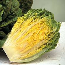 Lettuce Seeds