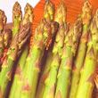 Thompson and Morgan Asparagus : Martha Washington