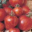 Tomato : Tigerella