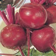 Thompson and Morgan Beetroot : Globe : Detroit 2 : Crimson Globe