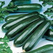 Thompson and Morgan Courgette : Dundoo F1 - Organic