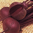 Thompson and Morgan Beetroot : Globe : Red Ace F1 Hybrid