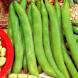 Thompson and Morgan Bean : Broad/Fava Bean : Masterpiece Green Longpod