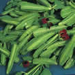 Thompson and Morgan Asparagus Pea Seeds