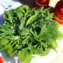 Thompson & Morgan Herb Seeds : Culinary Collection : Meek n Mild