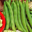 Thompson and Morgan Bean : Broad/Fava Bean : Masterpiece Green Longpod Seeds