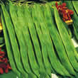 Thompson and Morgan Bean : Runner Bean : Lady Di Seeds