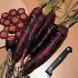 Thompson and Morgan Carrot : Purple Haze F1 Hybrid Seeds