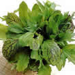 Thompson & Morgan Herb Seeds : Culinary Collection : Nice n Spicy