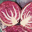 Thompson and Morgan Cabbage : Ruby Ball F1 Seeds