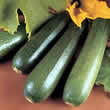 Thompson and Morgan Courgette : Parthenon F1 Seeds