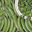 Thompson and Morgan Pea : Sugarsnap : Sugar Ann Seeds