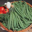 Thompson and Morgan Bean : Dwarf Bean : Speedy Seeds