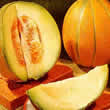 Thompson and Morgan Melon : Ogen Seeds