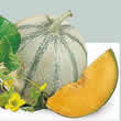 Thompson and Morgan Melon : Edonis F1 Hybrid Seeds