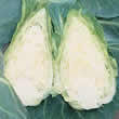 Thompson and Morgan Cabbage : Caramba F1 (Sweetheart Type) Seeds