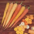 Thompson and Morgan Carrot : Rainbow F1 Hybrid Seeds