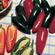 Thompson and Morgan Pepper : Chili/Hot : Jalapeno Summer Heat F1 Hybrid Seeds