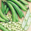 Thompson and Morgan Bean : Broad Bean : Medes Seeds
