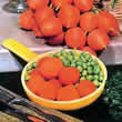 Thompson and Morgan Carrot : Parmex Seeds