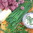 Thompson and Morgan Chives Seeds