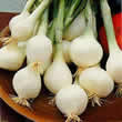 Thompson and Morgan Onion : Paris Silver Skinned Seeds
