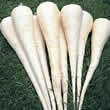 Thompson and Morgan Parsnip : Excalibur F1 Seeds