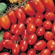 Tomato : Pomodoro Principe Borghese