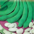 Italian Favioli Rampicanti Corona (Spagna Bean) Climbing Bean Seeds