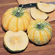 Thompson and Morgan Squash : Winter : Festival F1 Hybrid Seeds