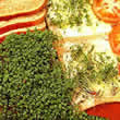 Thompson and Morgan Cress : Extra Curled Seeds
